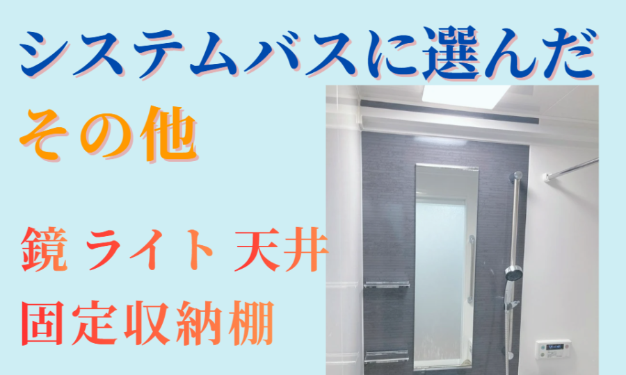 システムバスに選んだその他　鏡・ライト・天井・固定収納棚