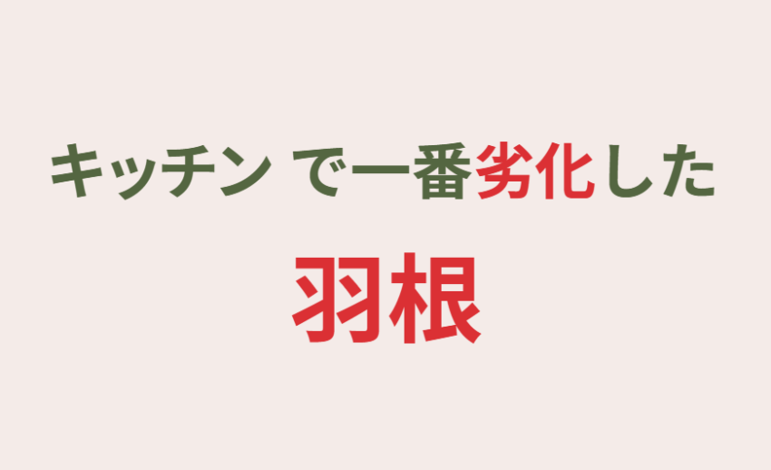 キッチンで一番劣化した羽根