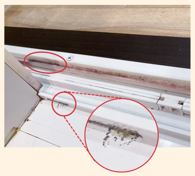 パッキンのカビ
塗装のはがれ