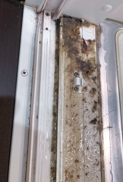 スロープ下に9年分のよごれ