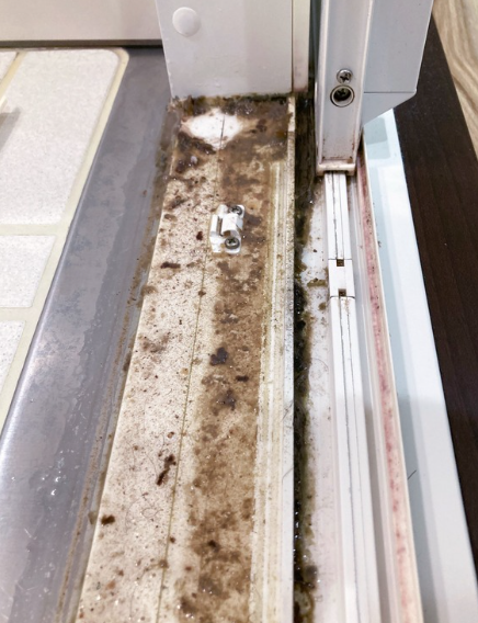 引き戸のそばがエグい