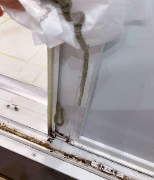 引き戸をはずしたすき間から