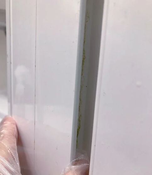 ガラリのカリカリ