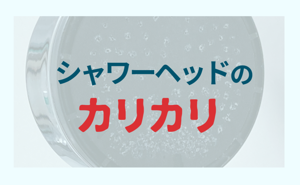 シャワーヘッドのカリカリ