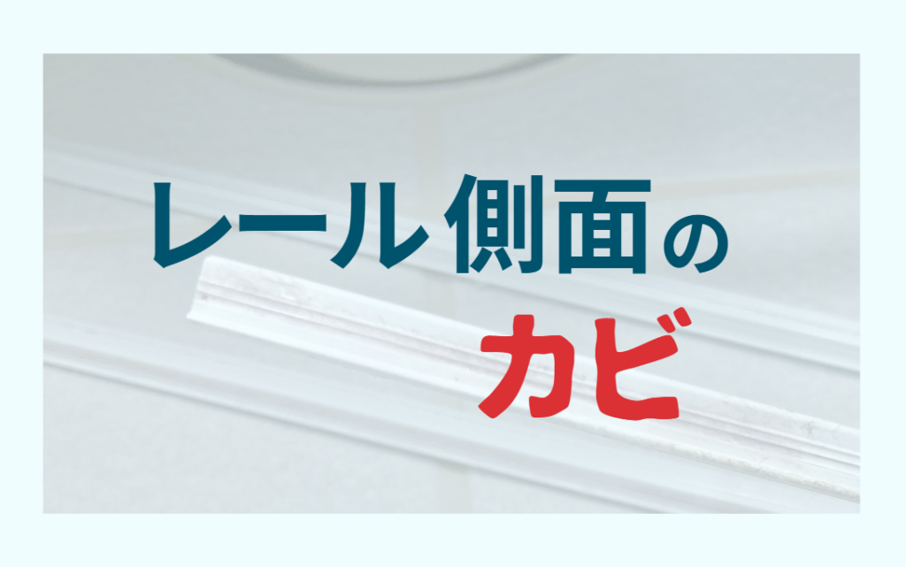 レール側面のカビ