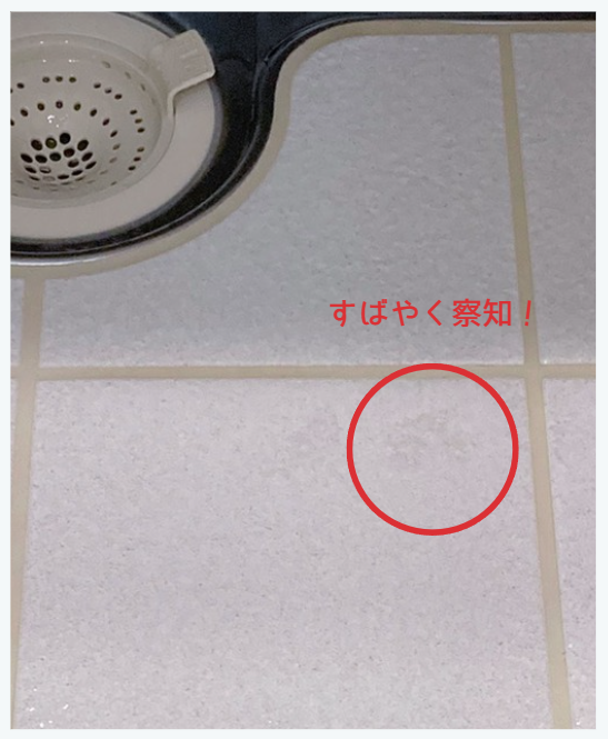 遠くから見えたこの部分