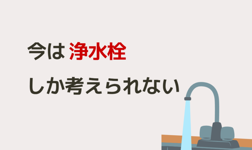今は浄水栓しか考えられない